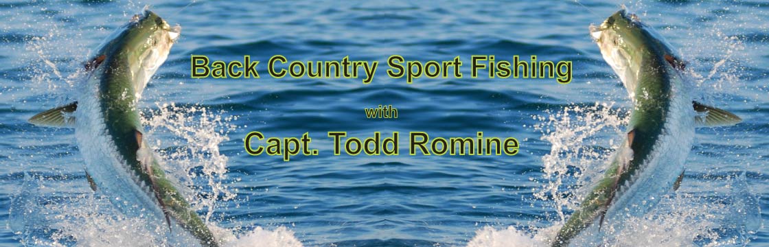 Back Country Sport Fishing with Captain Todd Romine - Anna Maria Island Charter Fishing